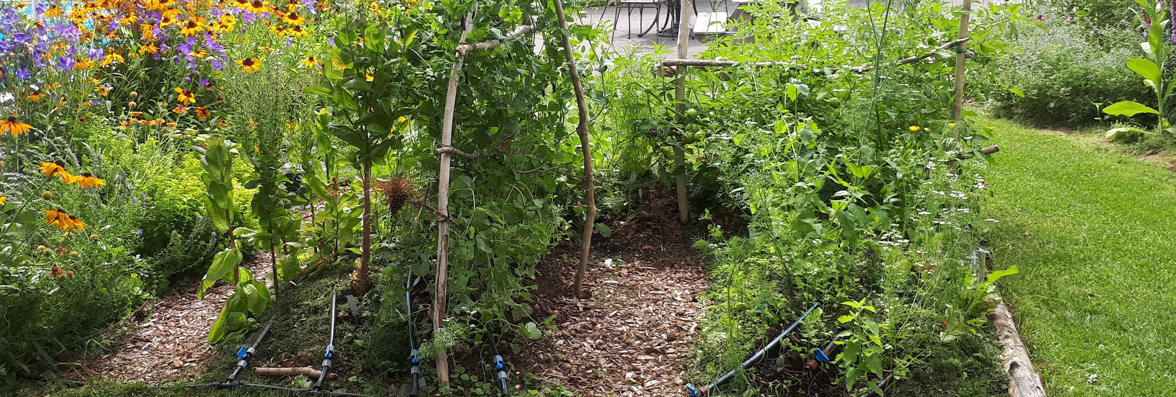 potager potager